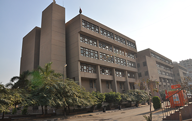 Establishment of an office for international cooperation in Ain Shams University