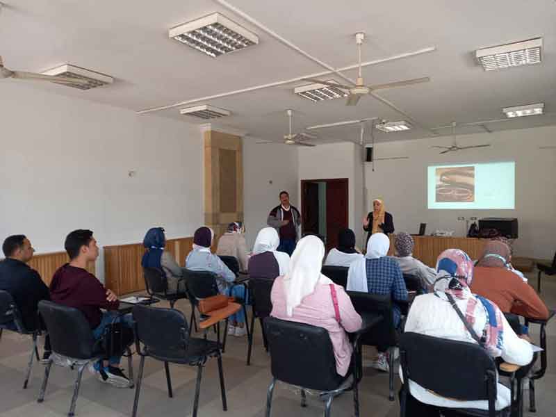 دورة تدريبية عن قواعد كتابة السيرة الذاتية لطلاب الدراسات العليا بكلية الأثار