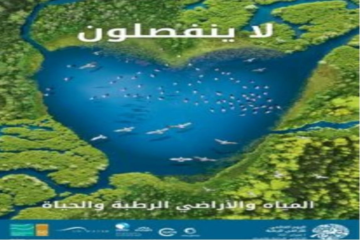 Environmental services for wetlands... Seminar at the Institute of Environmental Studies and Research at Ain Shams University