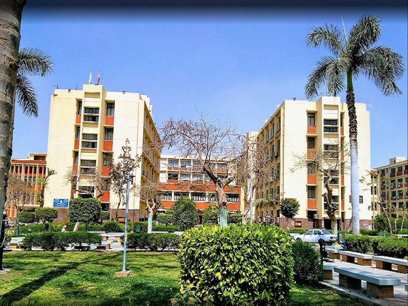 A symposium at the Faculty of Arts entitled the essential role of rural women in Egypt