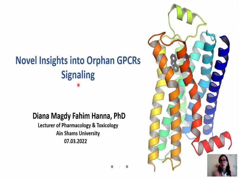 The Faculty of Pharmacy discusses the human MrgD receptors