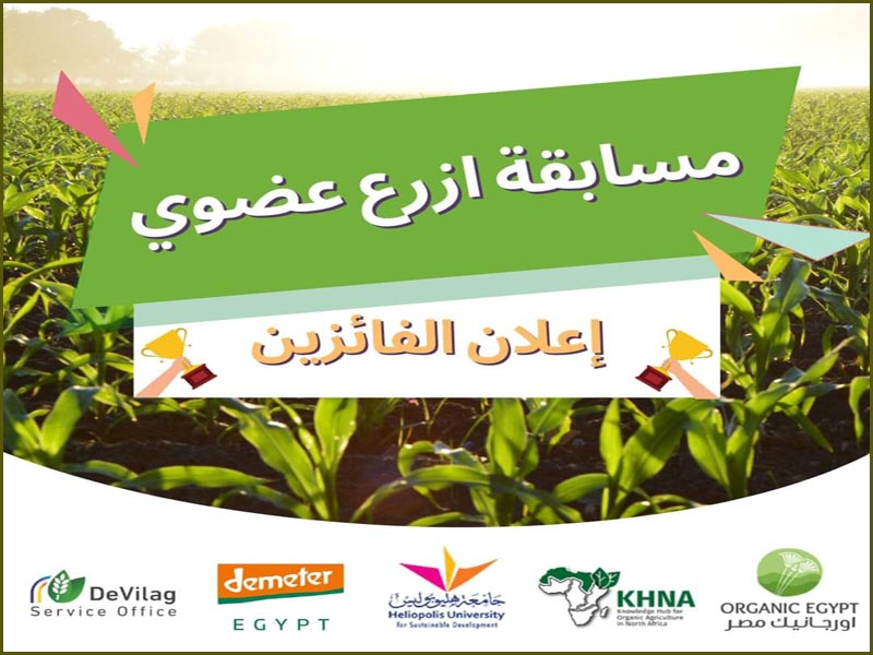 The Faculty of Agriculture, Ain Shams University, wins the first and third place in the Cultivate Organic Competition